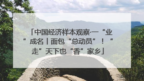 中国经济样本观察·一“业”成名丨面包“总动员”！“走”天下也“香”家乡