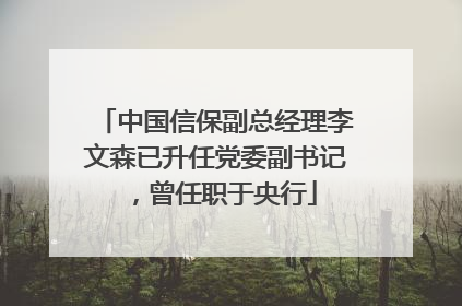 中国信保副总经理李文森已升任党委副书记，曾任职于央行