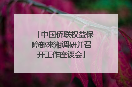 中国侨联权益保障部来湘调研并召开工作座谈会