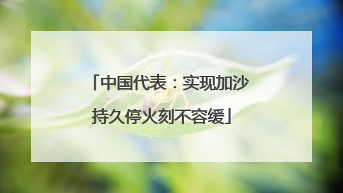 中国代表：实现加沙持久停火刻不容缓