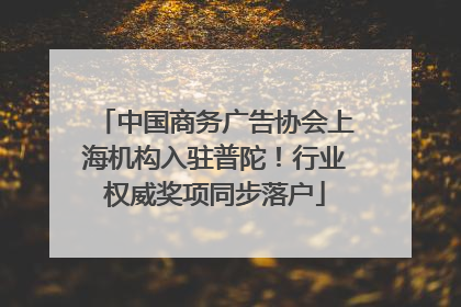 中国商务广告协会上海机构入驻普陀！行业权威奖项同步落户
