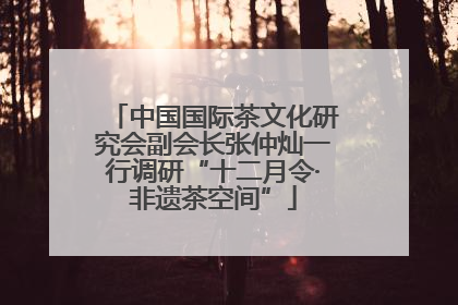 中国国际茶文化研究会副会长张仲灿一行调研“十二月令·非遗茶空间”