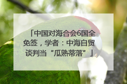 中国对海合会6国全免签，学者：中海自贸谈判当“瓜熟蒂落”