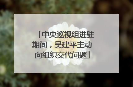 中央巡视组进驻期间，吴建平主动向组织交代问题