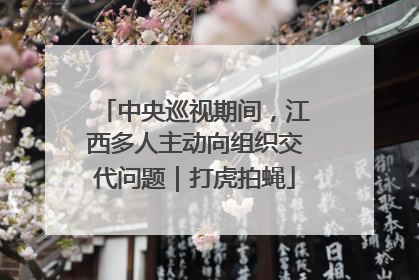 中央巡视期间，江西多人主动向组织交代问题｜打虎拍蝇