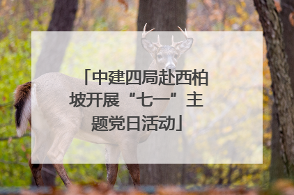 中建四局赴西柏坡开展“七一”主题党日活动