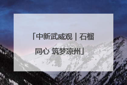 中新武威观｜石榴同心 筑梦凉州