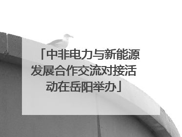 中非电力与新能源发展合作交流对接活动在岳阳举办