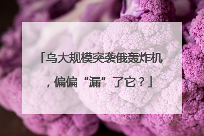 乌大规模突袭俄轰炸机，偏偏“漏”了它？
