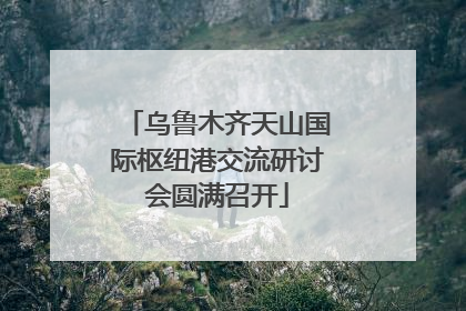 乌鲁木齐天山国际枢纽港交流研讨会圆满召开