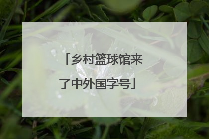 乡村篮球馆来了中外国字号