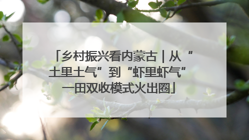 乡村振兴看内蒙古｜从“土里土气”到“虾里虾气” 一田双收模式火出圈