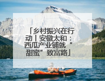 乡村振兴在行动丨安徽太和：西瓜产业铺就“甜蜜”致富路