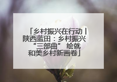 乡村振兴在行动丨陕西蓝田：乡村振兴 “三部曲” 绘就和美乡村新画卷