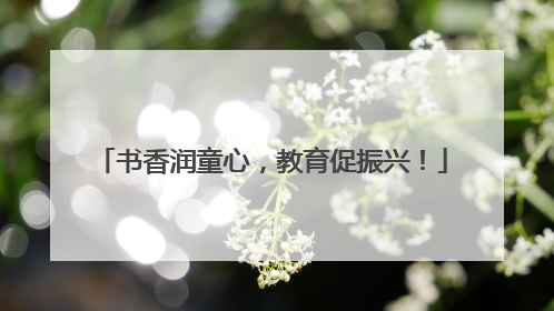 书香润童心，教育促振兴！