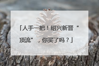 人手一把！绍兴新晋“顶流”，你买了吗？