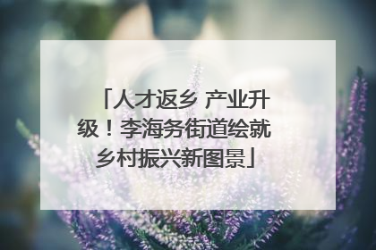 人才返乡 产业升级！李海务街道绘就乡村振兴新图景