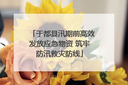 于都县汛期前高效发放应急物资 筑牢防汛救灾防线