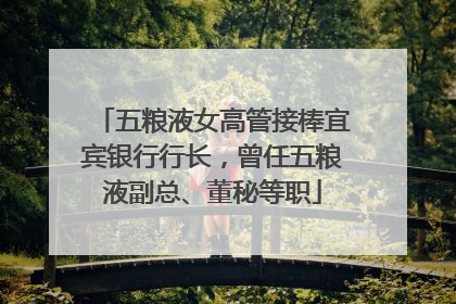 五粮液女高管接棒宜宾银行行长，曾任五粮液副总、董秘等职
