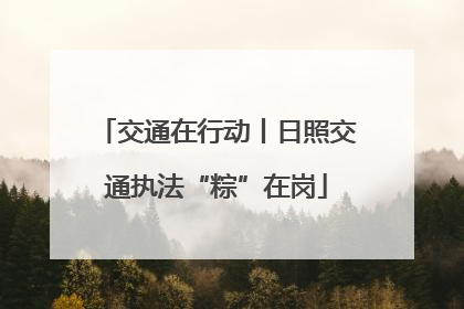 交通在行动丨日照交通执法“粽”在岗