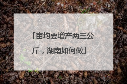 亩均要增产两三公斤，湖南如何做