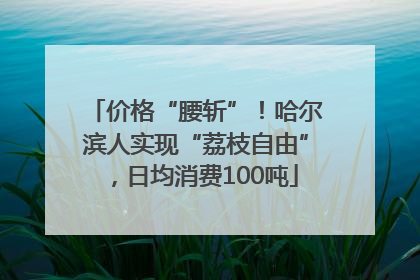 价格“腰斩”！哈尔滨人实现“荔枝自由”，日均消费100吨