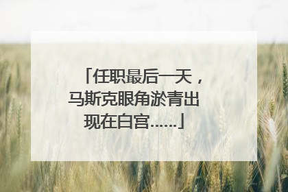 任职最后一天，马斯克眼角淤青出现在白宫……