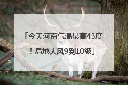 今天河南气温最高43度！局地大风9到10级