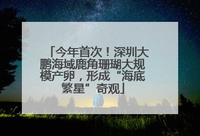今年首次！深圳大鹏海域鹿角珊瑚大规模产卵，形成“海底繁星”奇观