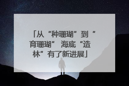 从“种珊瑚”到“育珊瑚” 海底“造林”有了新进展