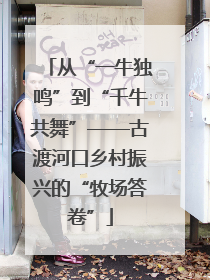 从“一牛独鸣”到“千牛共舞”——古渡河口乡村振兴的“牧场答卷”