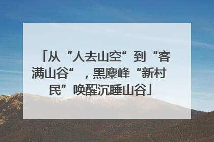 从“人去山空”到“客满山谷”，黑麋峰“新村民”唤醒沉睡山谷