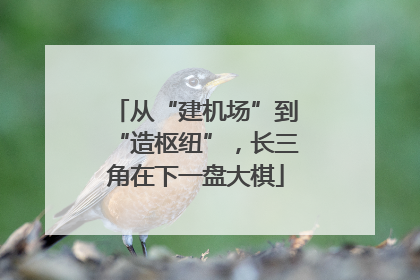 从“建机场”到“造枢纽”，长三角在下一盘大棋