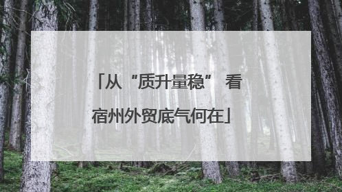 从“质升量稳” 看宿州外贸底气何在