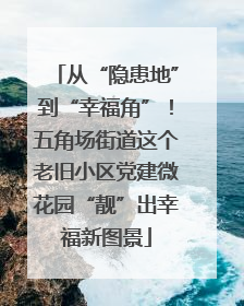 从“隐患地”到“幸福角”！五角场街道这个老旧小区党建微花园“靓”出幸福新图景