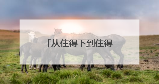 从住得下到住得好聊城高新区以定制化服务打造“鲁派民居”新范式
