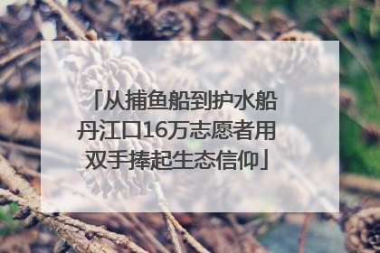 从捕鱼船到护水船 丹江口16万志愿者用双手捧起生态信仰