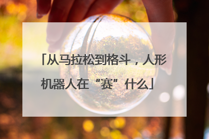 从马拉松到格斗，人形机器人在“赛”什么