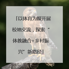 以体育为媒开展校地交流，探索“体教融合+乡村振兴”新路径