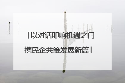 以对话叩响机遇之门 携民企共绘发展新篇