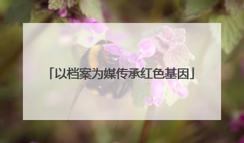 以档案为媒传承红色基因