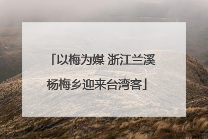 以梅为媒 浙江兰溪杨梅乡迎来台湾客