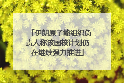 伊朗原子能组织负责人称该国核计划仍在继续强力推进