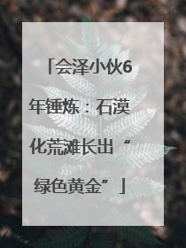 会泽小伙6年锤炼：石漠化荒滩长出“绿色黄金”