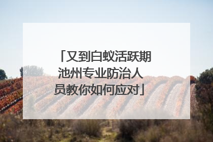 又到白蚁活跃期 池州专业防治人员教你如何应对
