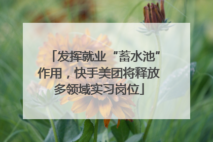 发挥就业“蓄水池”作用，快手美团将释放多领域实习岗位