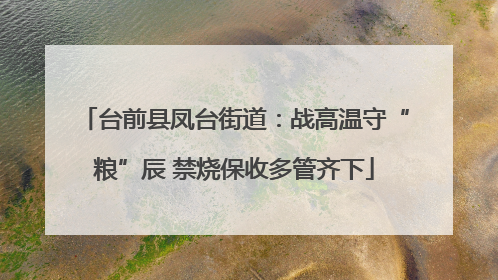 台前县凤台街道：战高温守“粮”辰 禁烧保收多管齐下