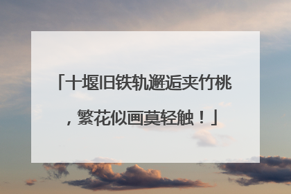 十堰旧铁轨邂逅夹竹桃，繁花似画莫轻触！