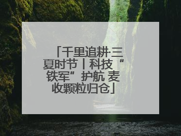 千里追耕·三夏时节丨科技“铁军”护航 麦收颗粒归仓