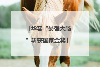 华容“最强大脑”斩获国家金奖